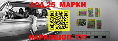 стафф Бийск