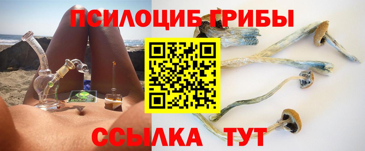 Псилоцибиновые грибы GOLDEN TEACHER Калининград