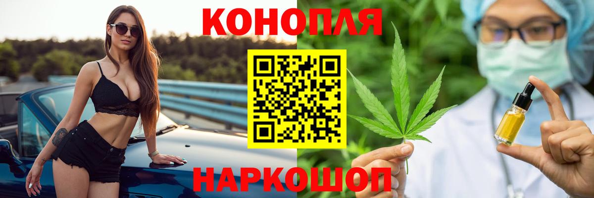 Галлюциногенные грибы Калининград